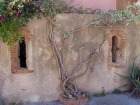Alte Fassade auf Elba