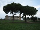 Tempel in Paestum (Süditalien)