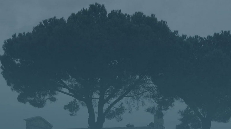 headerimage