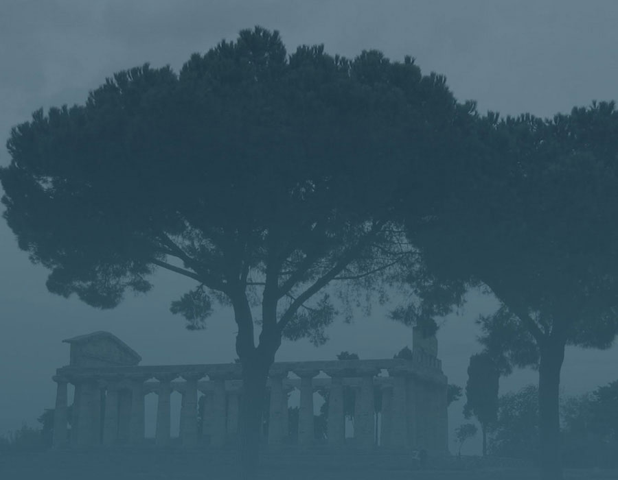 headerimage