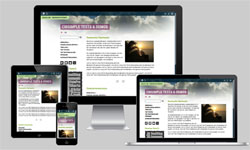 CMSimple Theme Foldout 2022